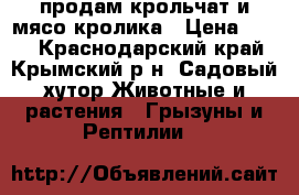 продам крольчат и мясо кролика › Цена ­ 180 - Краснодарский край, Крымский р-н, Садовый хутор Животные и растения » Грызуны и Рептилии   